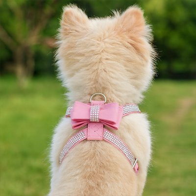 Harnais chiot avec décoration strass