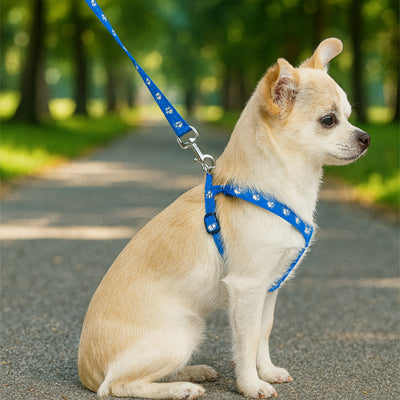 harnais en y chien qui protège