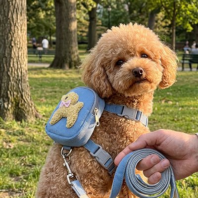 Harnais petit Chien | Mains Libres - Excursion Chien