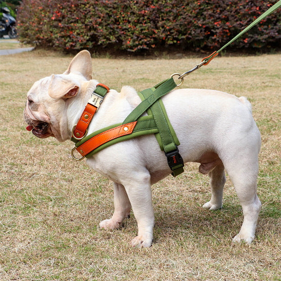 harnais pour chien avec bandes réfléchissantes