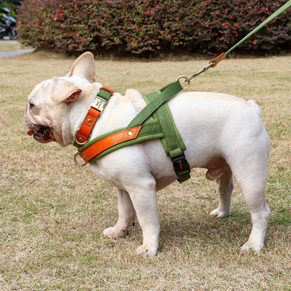 harnais pour chien avec bandes réfléchissantes