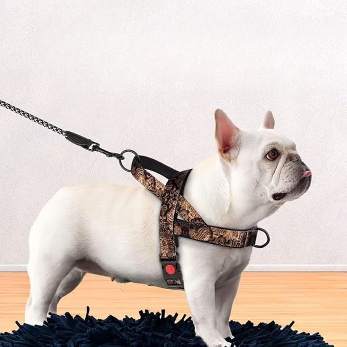
harnais pour chien avec système de fermeture sécurisé
