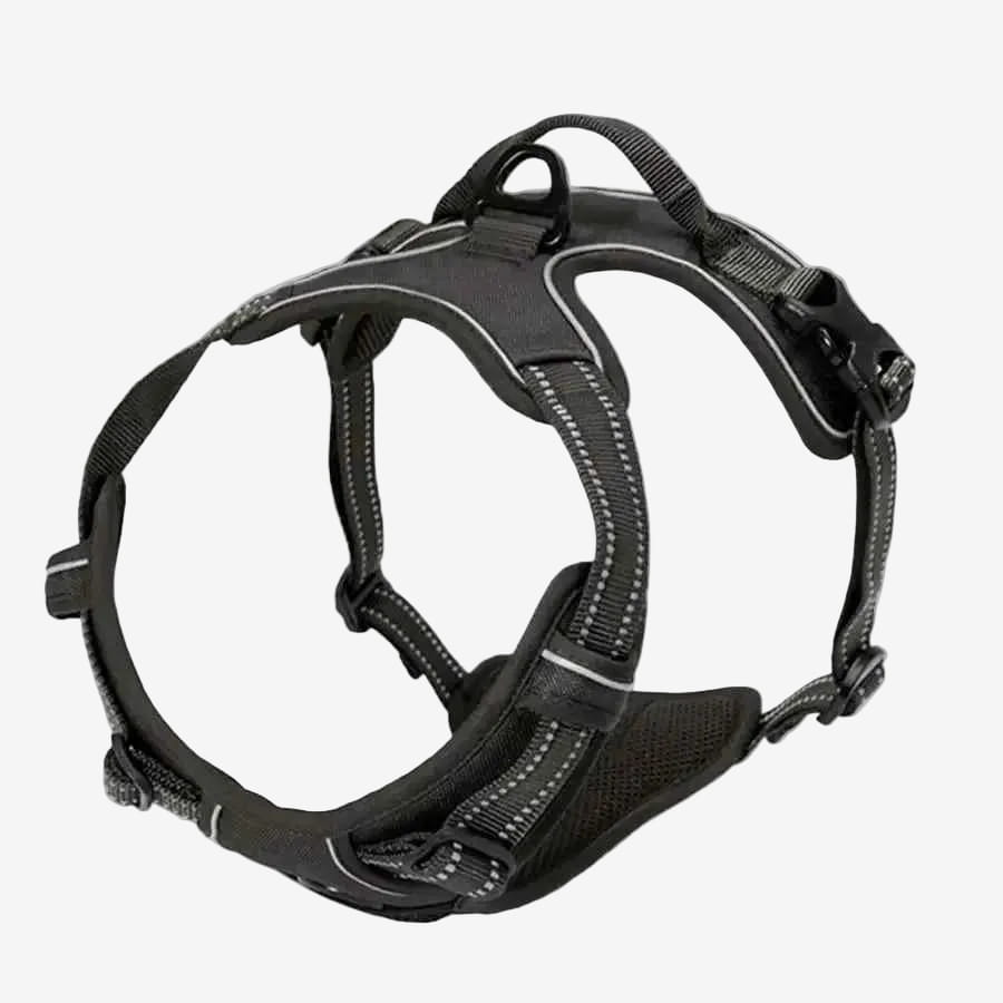 Harnais Pour Chien | Confort Réfléchissant - Excursion Chien