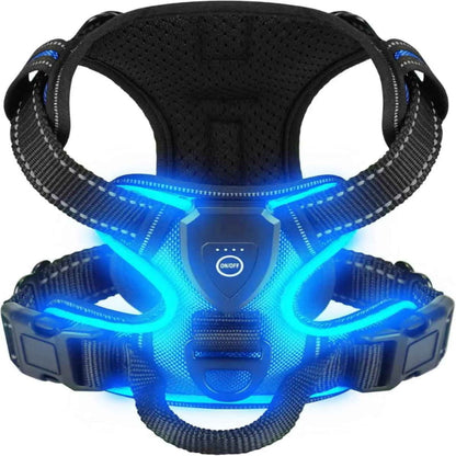 Harnais Pour Chien Lumineux | Rechargeable LED - Excursion Chien