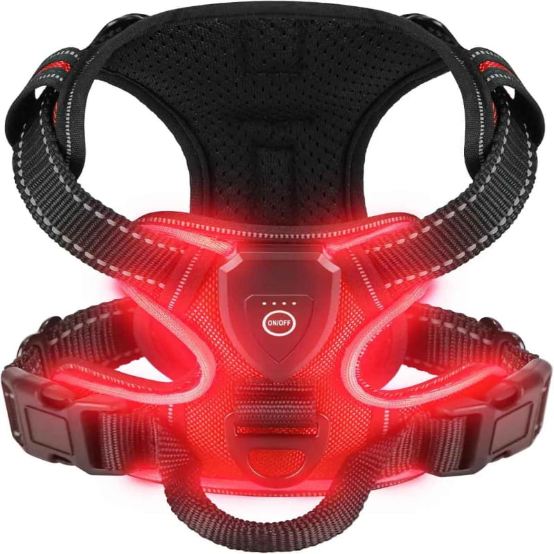 Harnais Pour Chien Lumineux | Rechargeable LED - Excursion Chien