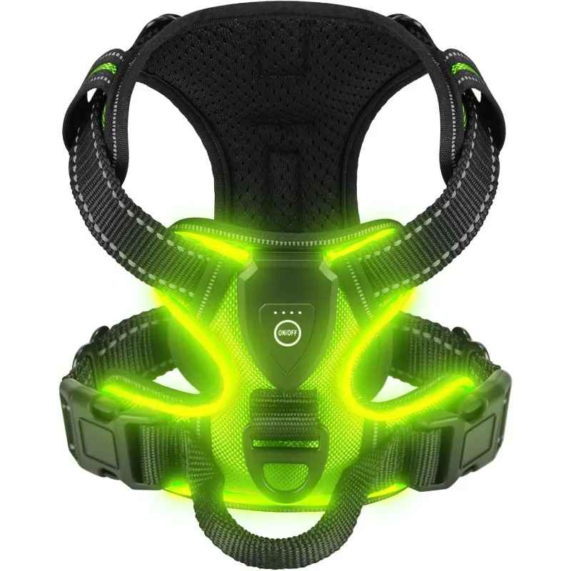 Harnais Pour Chien Lumineux | Rechargeable LED - Excursion Chien