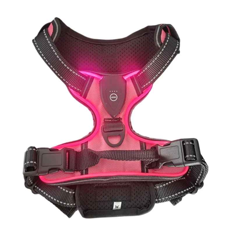 Harnais Pour Chien Lumineux | Rechargeable LED - Excursion Chien