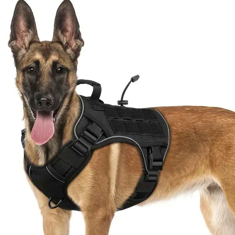 harnais pour chien qui tire noir