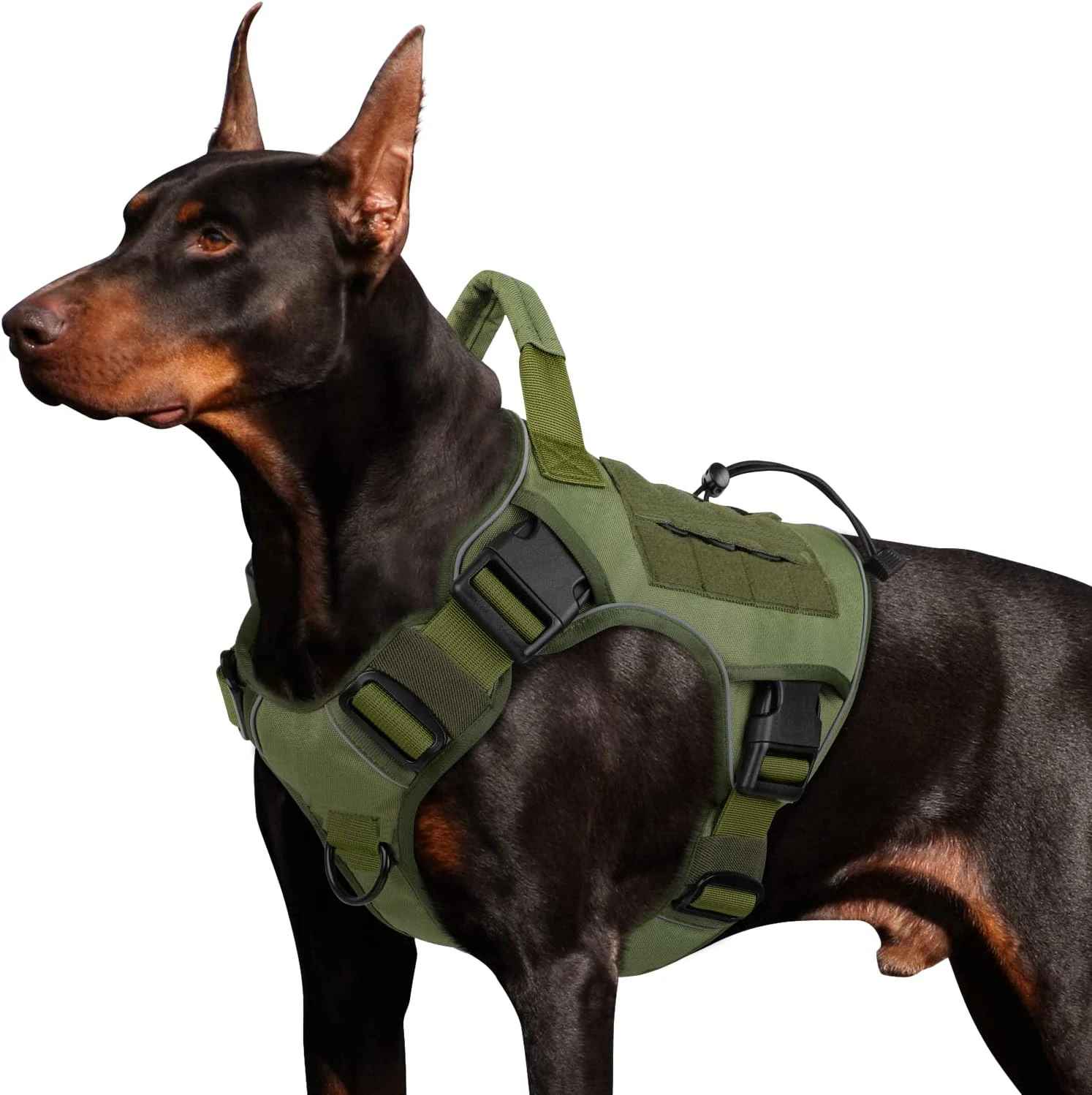 harnais pour chien qui tire vert