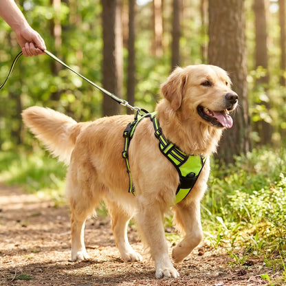 Harnais Pour Chien | Confort Réfléchissant - Excursion Chien