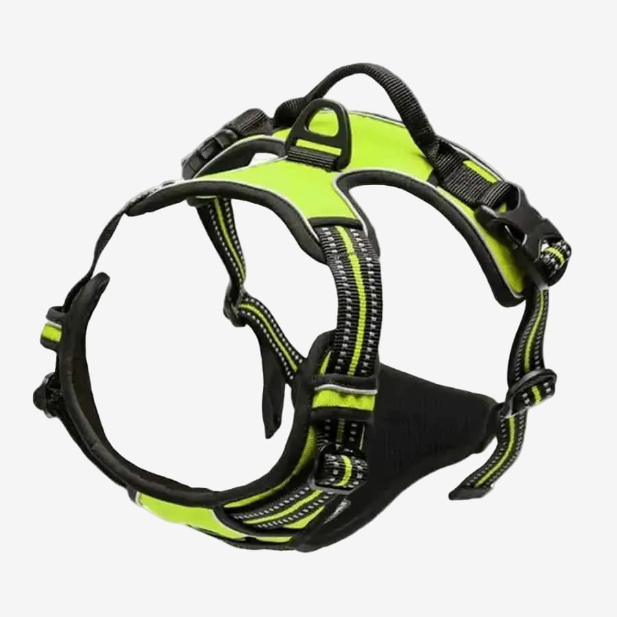 Harnais Pour Chien | Confort Réfléchissant - Excursion Chien