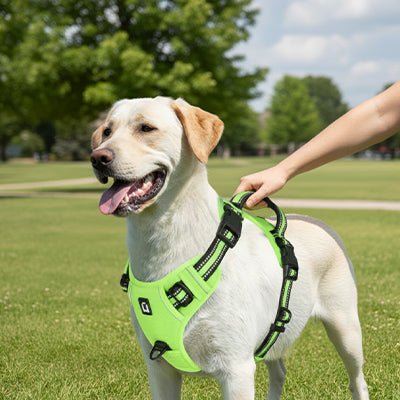 Harnais Anti - Traction Réfléchissant pour Chien - Excursion Chien