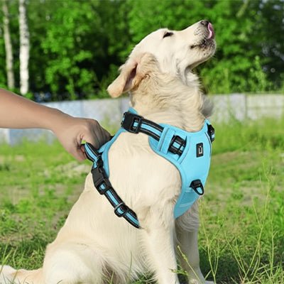Harnais Anti - Traction Réfléchissant pour Chien - Excursion Chien