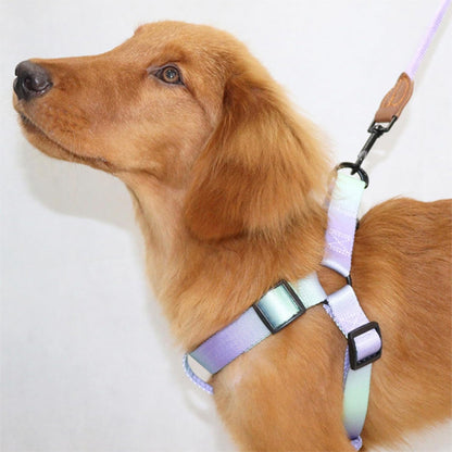 harnais pour chiens qui s'adapte parfaitement