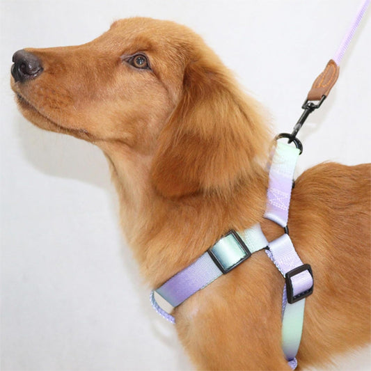 harnais pour chiens qui s'adapte parfaitement
