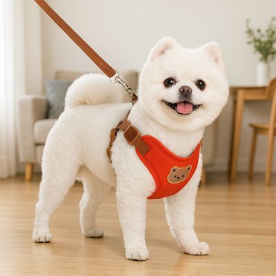 Harnais pour Petit Chien Confort & Sécurité - Excursion Chien