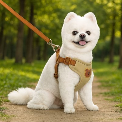 Harnais pour Petit Chien Confort & Sécurité - Excursion Chien