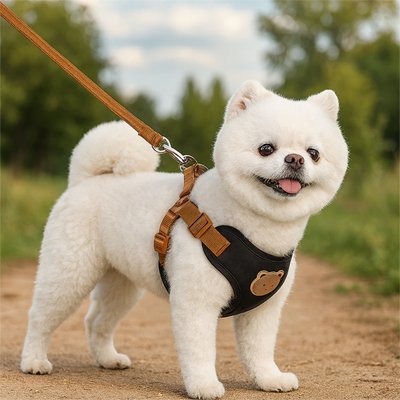 Harnais pour Petit Chien Confort & Sécurité - Excursion Chien