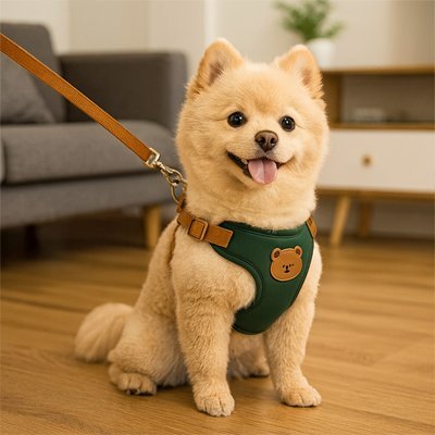 Harnais pour Petit Chien Confort & Sécurité - Excursion Chien