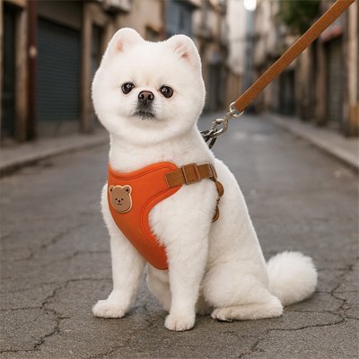 Harnais pour Petit Chien Confort & Sécurité - Excursion Chien
