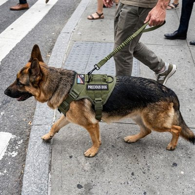 Harnais tactique pour chien en nylon résistant de qualité militaire pour une durabilité maximale