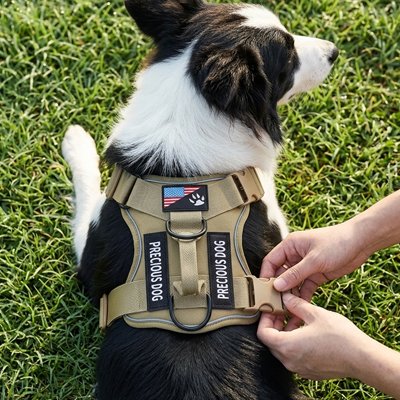 Harnais tactique pour chien en structure ergonomique distribuant uniformément les forces sur le poitrail pour un confort optimal