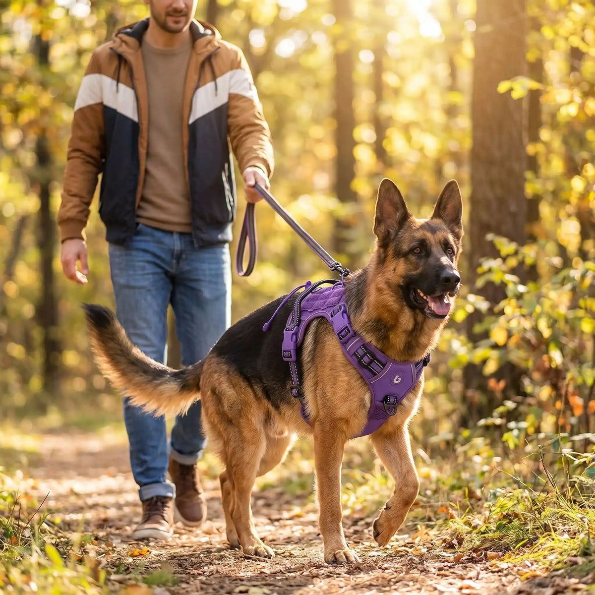 Harnais Tactique Pour Chien | Confort Respirant - Excursion Chien