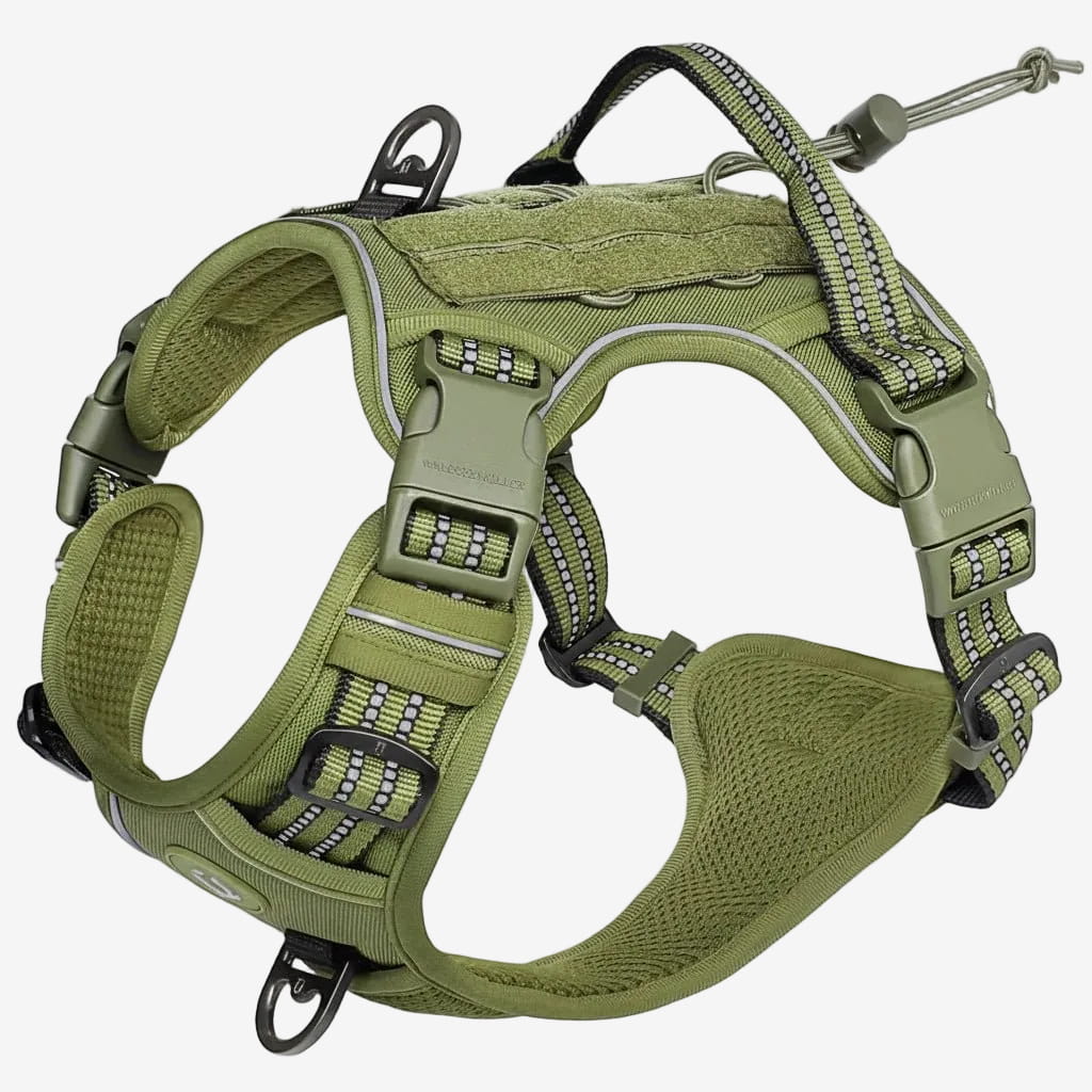Harnais Tactique Pour Chien | Confort Respirant - Excursion Chien