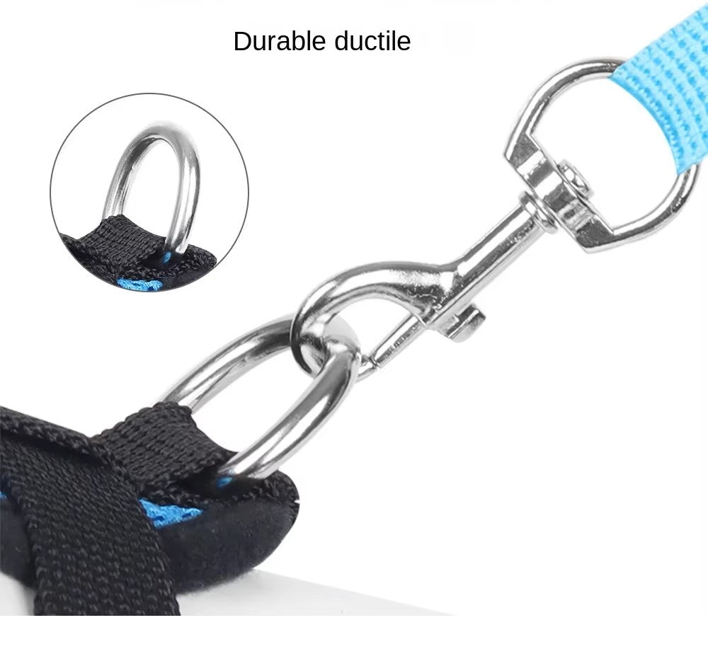 harnais chien petite taille avec deux boucles réglables