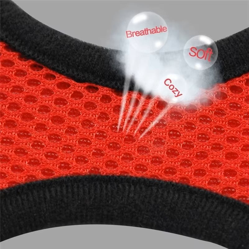  harnais chien petite taille respirant