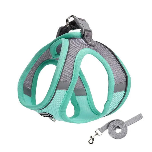 harnais chihuahua chiot anti traction