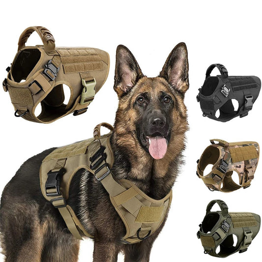 harnais de dressage chien  robuste et ergonomique