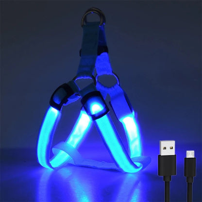 Harnais lumineux pour chien rechargeable