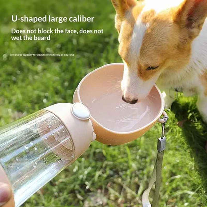 Chien buvant dans une gourde de voyage rose lors d'une balade
