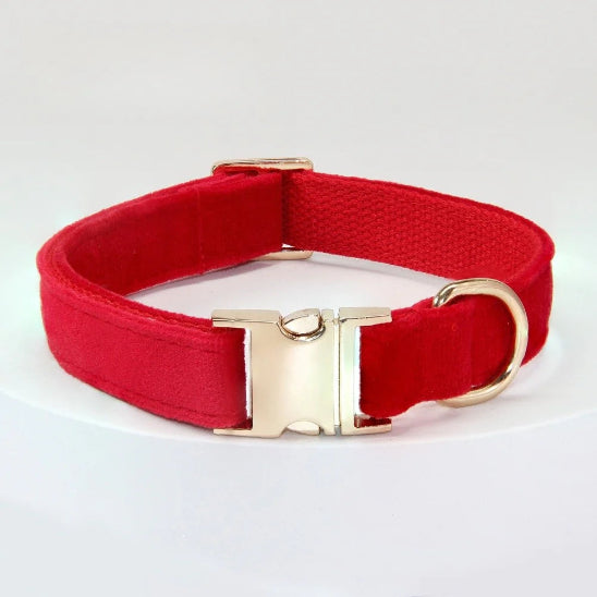 Collier pour Chien en velours personnalisé rouge