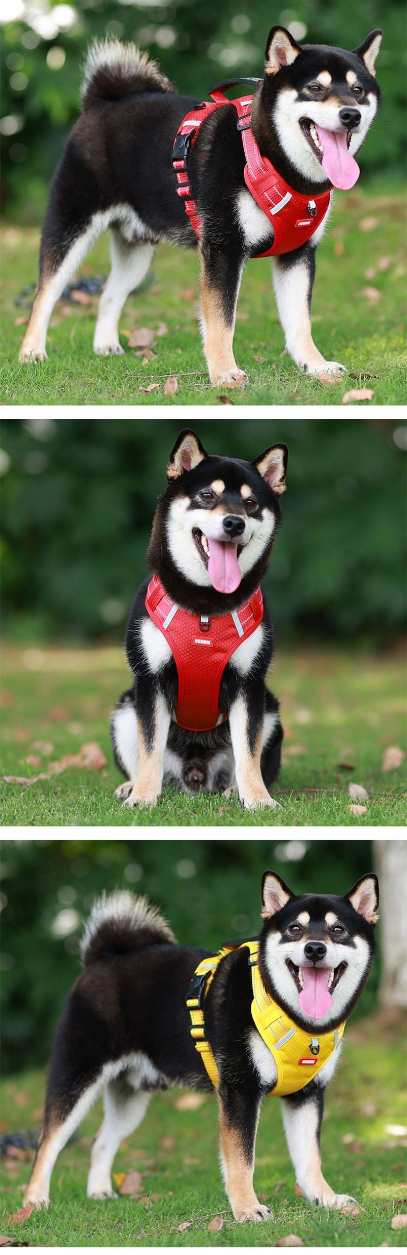 Harnais pour chien | Contrôle Complet jaune