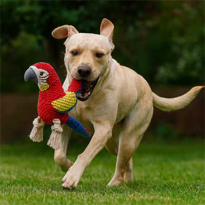 Peluche Chien robuste pour Jeux intenses sans limite