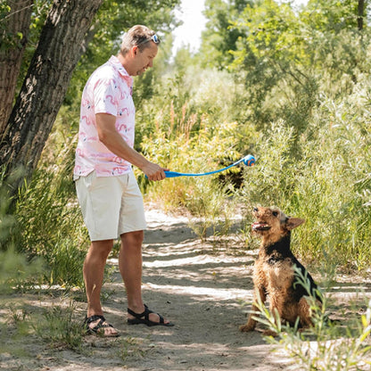 Lanceur de balle pour chien | ProLance