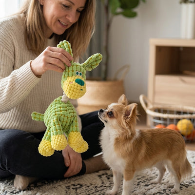 Peluche Chien interactif | Âne Rigolo