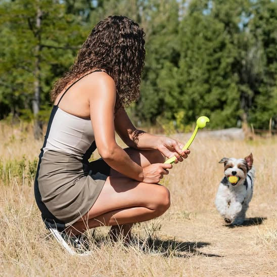 Lanceur de balle pour chien | ProLance