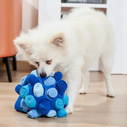 jeu de fouille chien qui stimule