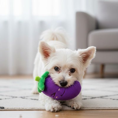 jeu interactif chien | Légumes Couineurs - Excursion Chien