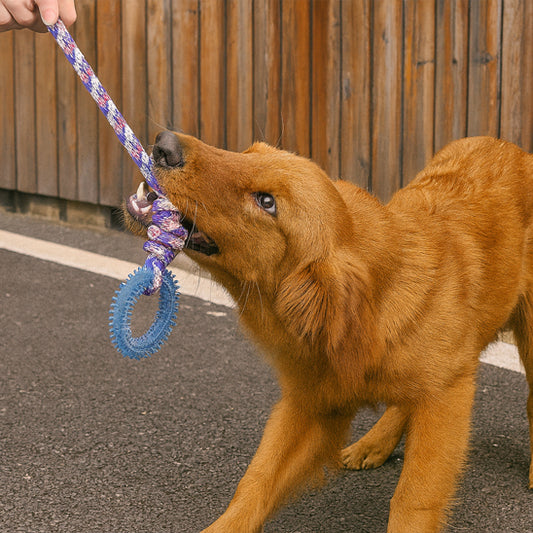 jeu pour chien exterieur résistant
