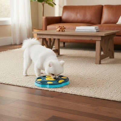 jeux educatif pour chien | Modulable - Excursion Chien