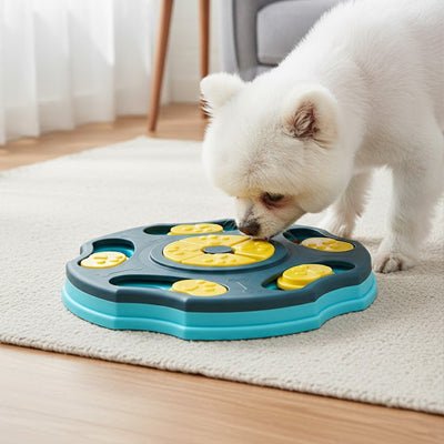 jeux educatif pour chien | Modulable - Excursion Chien