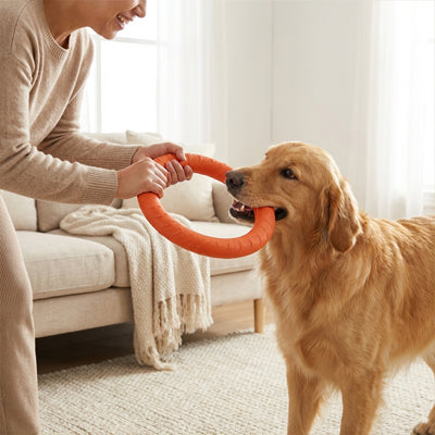jeux interactif pour chien en forme annulaire ergonomique pour une prise optimale
