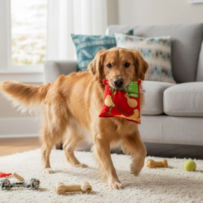 jeux interactif pour chien | Sac Chips Crépitant - Excursion Chien