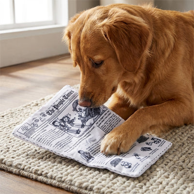 jeux occupation chien qui stimule l'instinct naturel de déchiquetages de l'animal