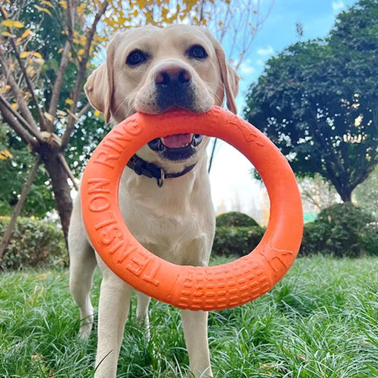 jouet anneau pour chien  qui résiste aux tiraillements
