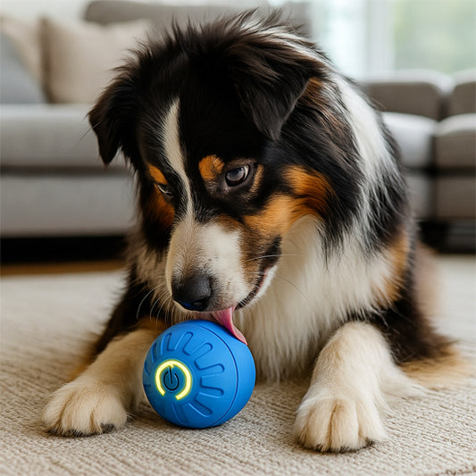 jouet anti stress pour chien interactif LED 
